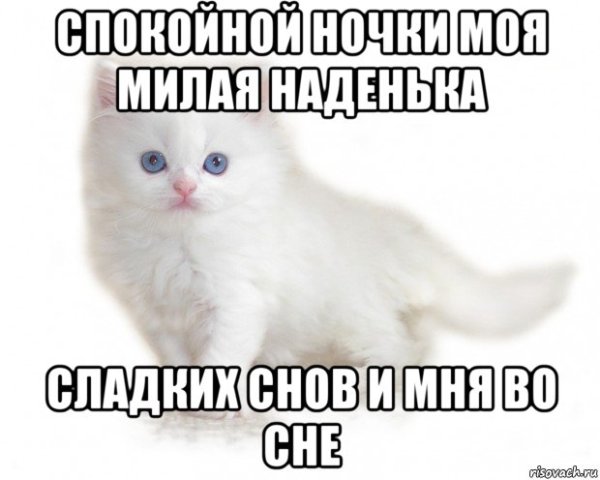 Спокойной ночи Надя