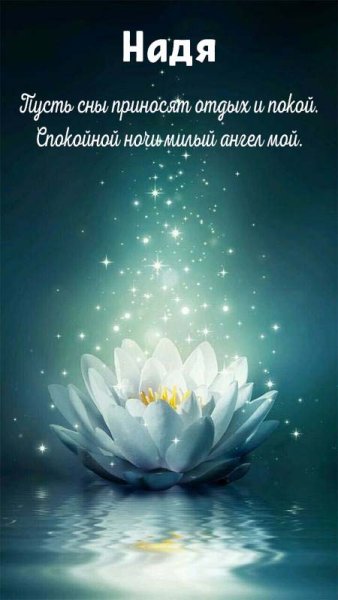 Пожелания спокойной ночи