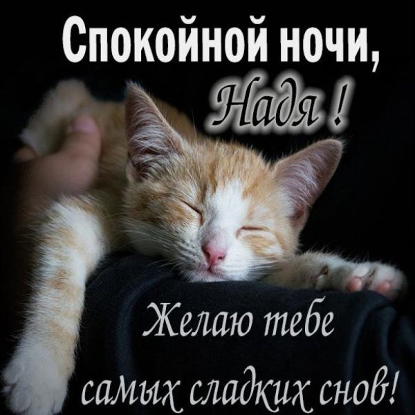 Спокойной ночи Вероника
