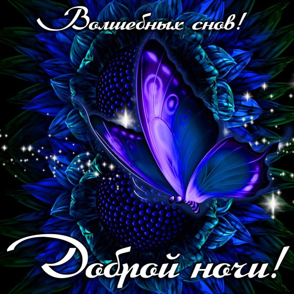Спокойной ночи