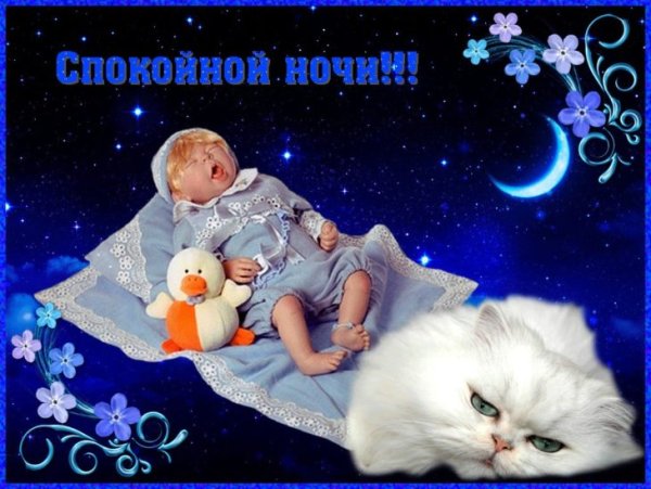 Пожелания спокойной ночи