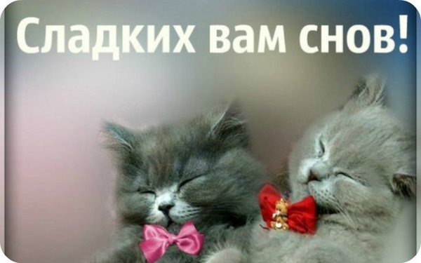 Сладких снов мама и папа