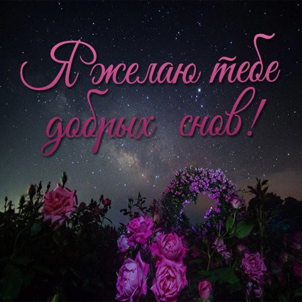 Красивые пожелания доброй ночи