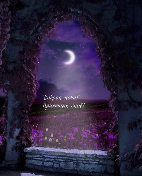 Доброй ночи