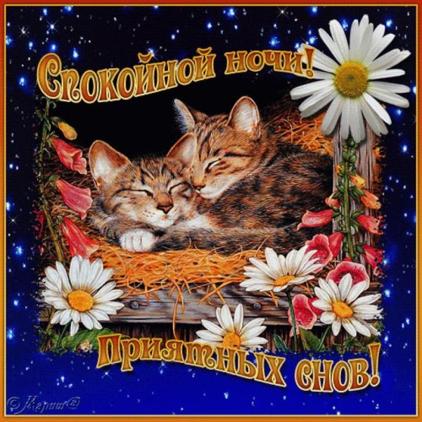 Открытки спокойной ночи
