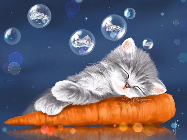 Спокойной ночи любимая картинки с кошками (37 фото)