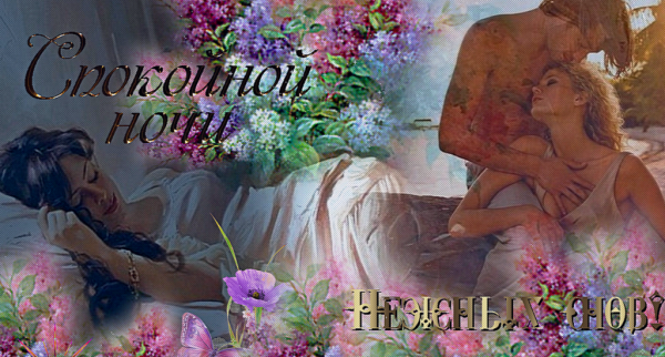 Спокойной ночи девушке нежность