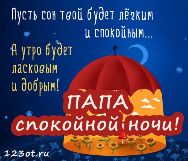 Спокойной ночи папа
