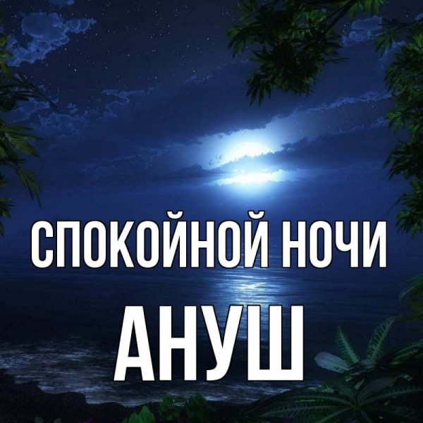 Спокойной ночи солнышко