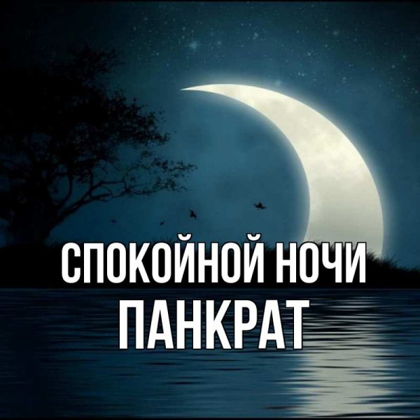 Спокойной ночи любимая