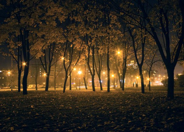 Осень ночь картинки (46 фото)