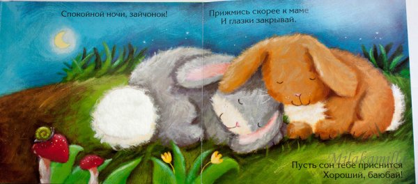 Зайка спит на Луне