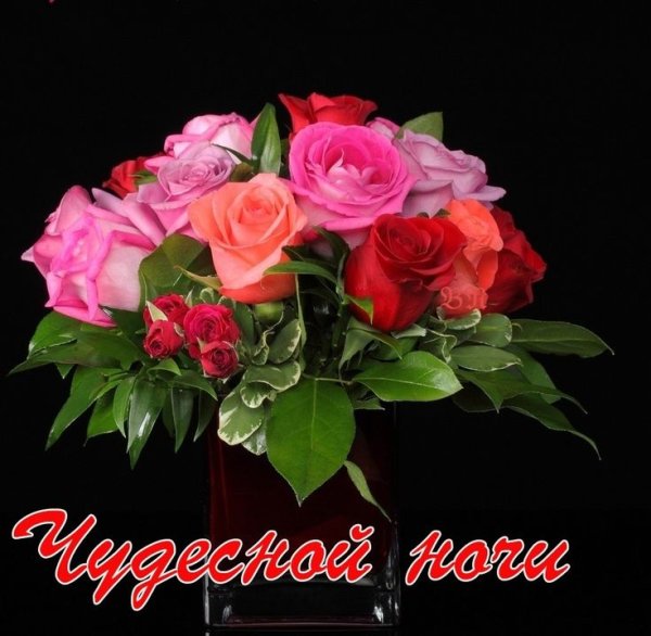 Доброй спокойной ночи