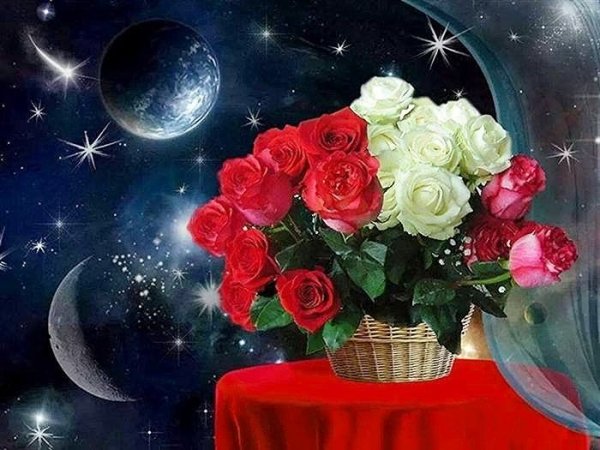 Спокойной ночи цветы