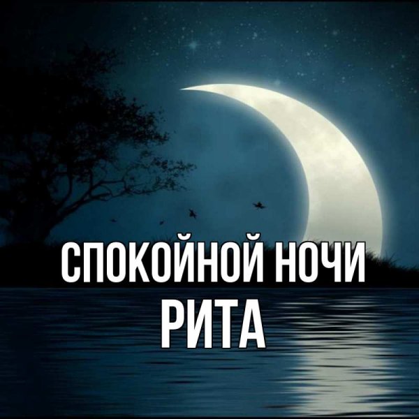 Риточка спокойной ночи картинки