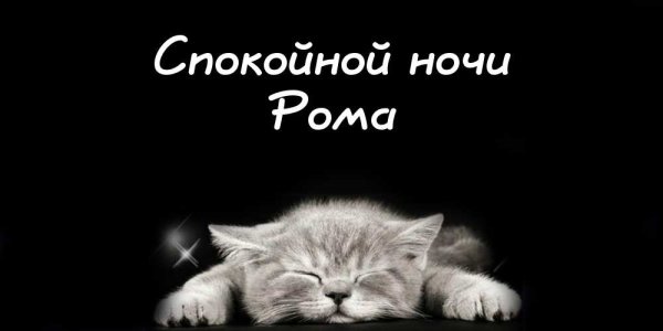 Спокойной ночи Рома