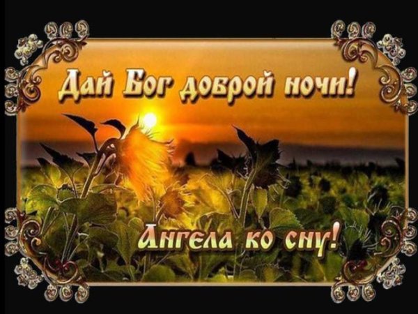 Спокойной ночи православные