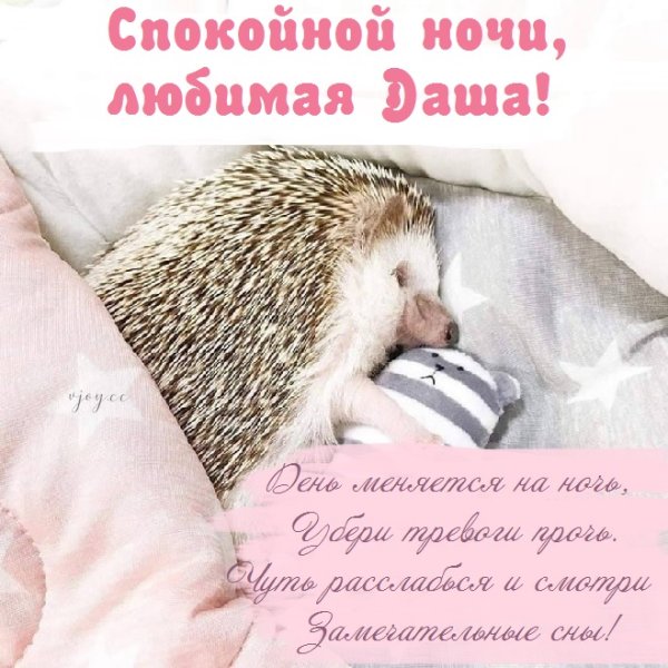 Спокойной ночи Дашенька картинки