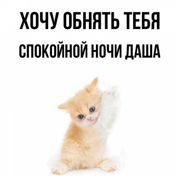 Спокойной ночи Регина