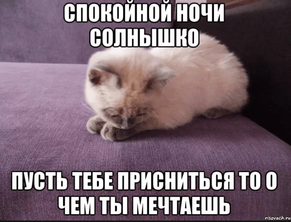 Саша Саша