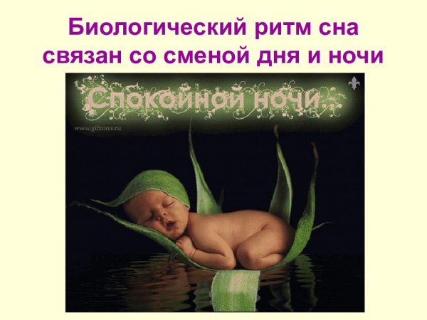 Сон и сновидения презентация