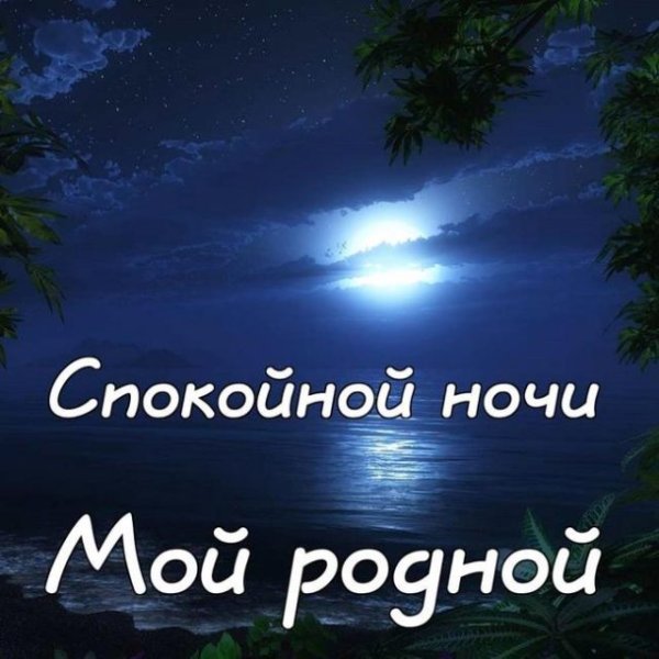 Спокойной ночи любимому