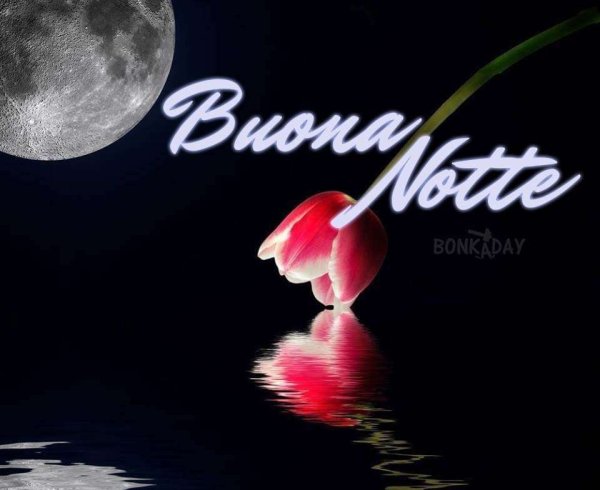 Открытки buona notte