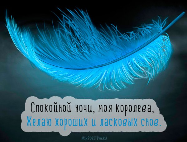 Спокойнойначи любимая