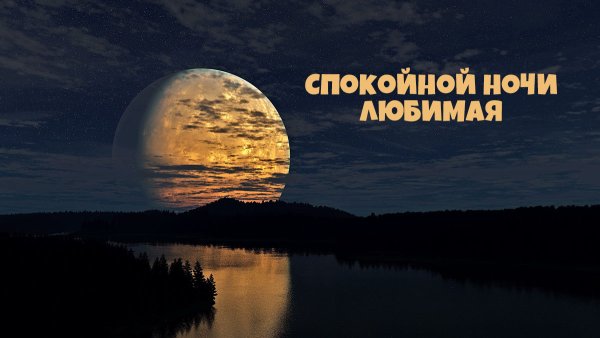 Спокоцнойноси любимая