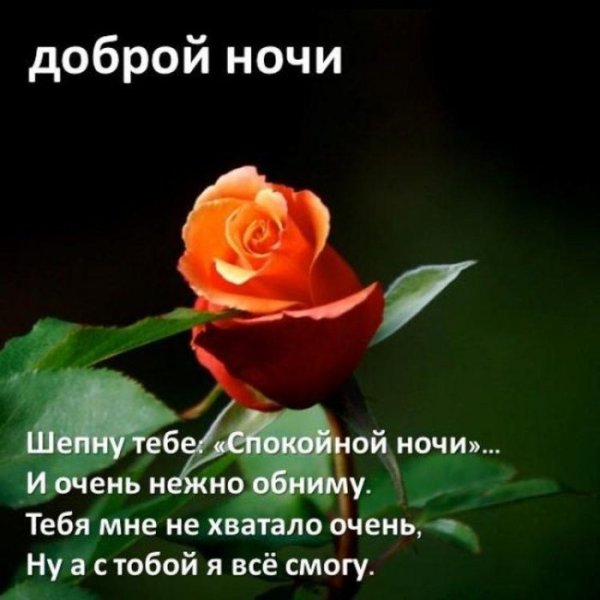 Красивые пожелания спокойной ночи девушке