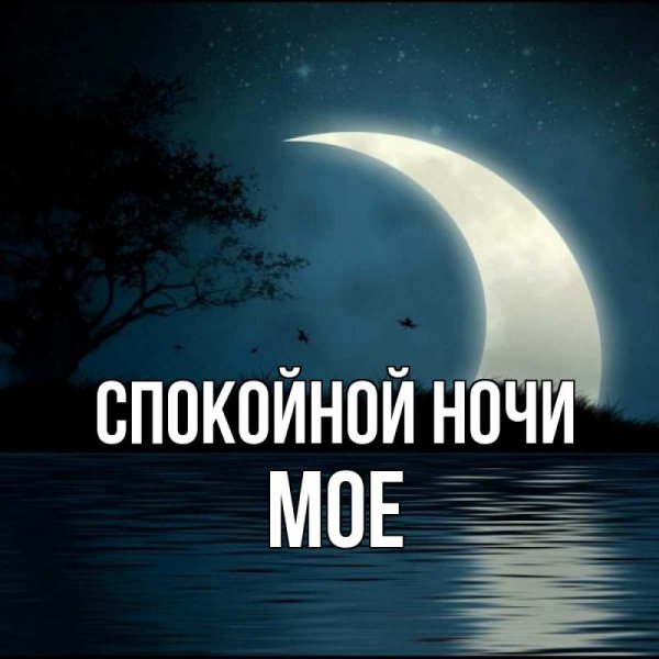 Спокойной ночи Лешенька