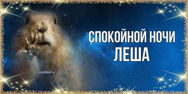 Спокойной ночи Леша