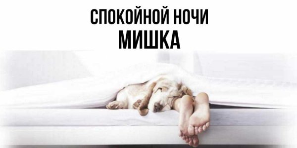Спокойной ночи Сабина