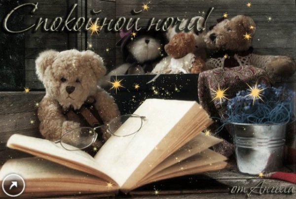 Спокойной ночи Книголюбы
