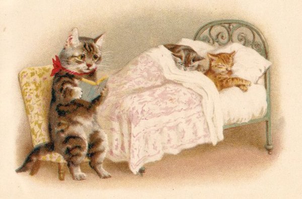 Спящий кот Винтаж