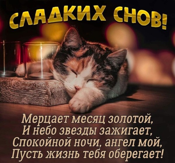 Пожелания спокойной ночи