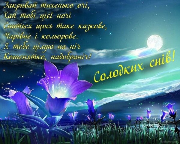 Картинка доброй ночи на украинском языке (41 фото)