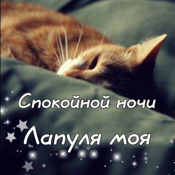 Зоя Петровна спокойной ночи