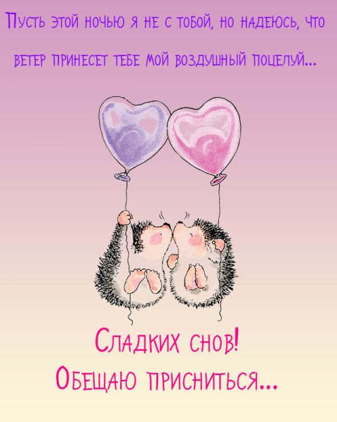 Спокойной ночи любимый мой