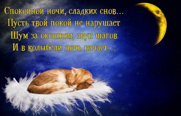 Доброй ночи сладких снов картинки
