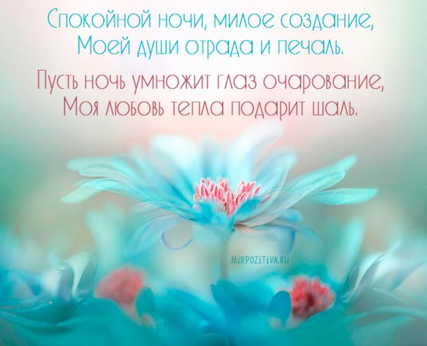 Нежные пожелания