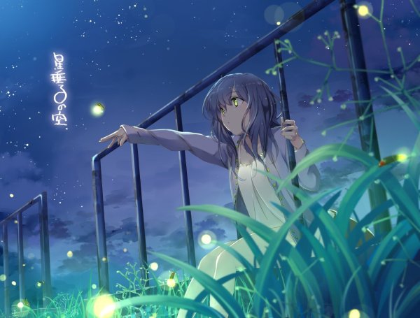 Аниме арт ночь