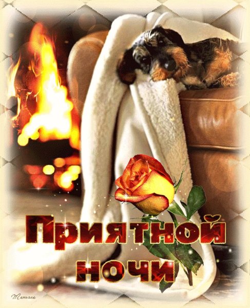 Спокойной о енней ночи