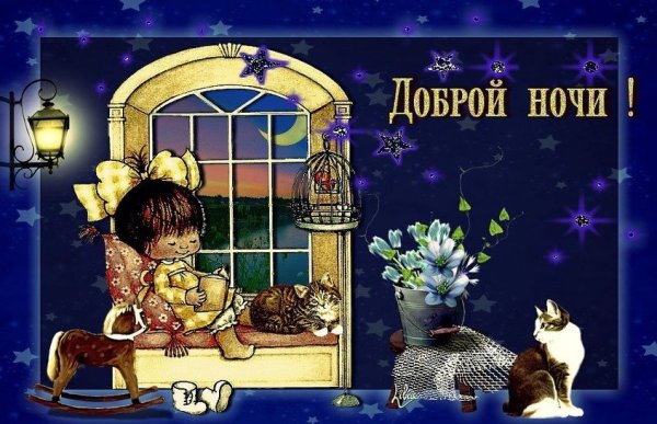 Доброй ночи
