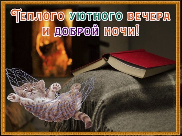 Хорошего вечера и спокойной ночи