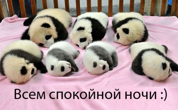 Всем спокойной ночи