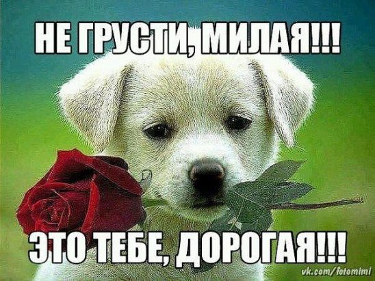 Открытка "не грусти!"