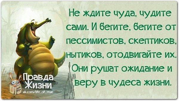 Высказывания о жизни с юмором