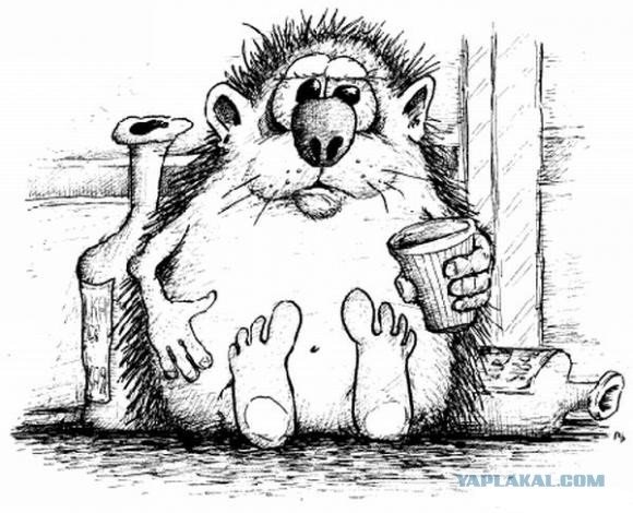 Пьяный Ежик