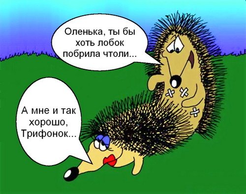 Пьяный пьяный Ёжик влез на провода